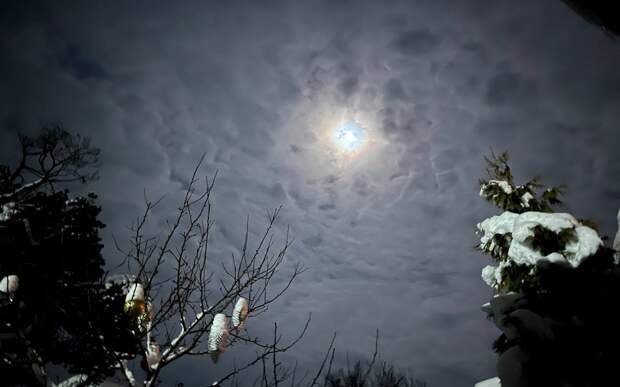 В Рязанской области сфотографировали "волчью" луну