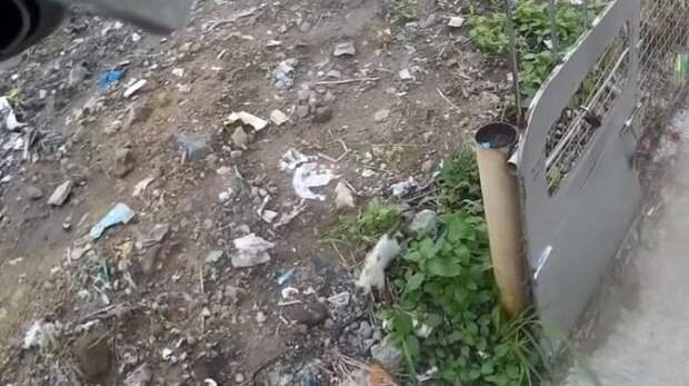 Правда, ближайшим безопасным местом оказалась свалка, что тоже не подходило в качестве места жилья для котёнка. авто, байкер, видео, доброта, котенок, кошка, мотоциклист, спасение