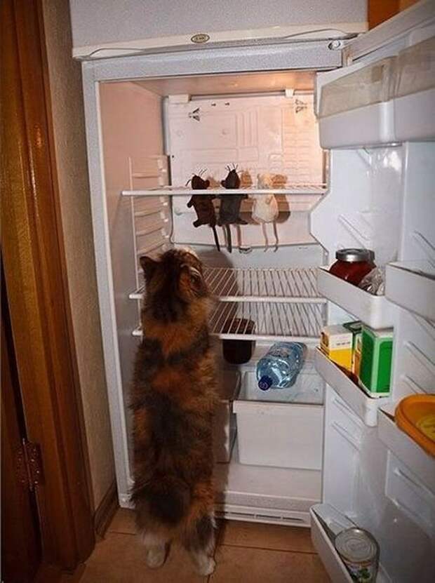 Давайте улыбаться вместе! :)