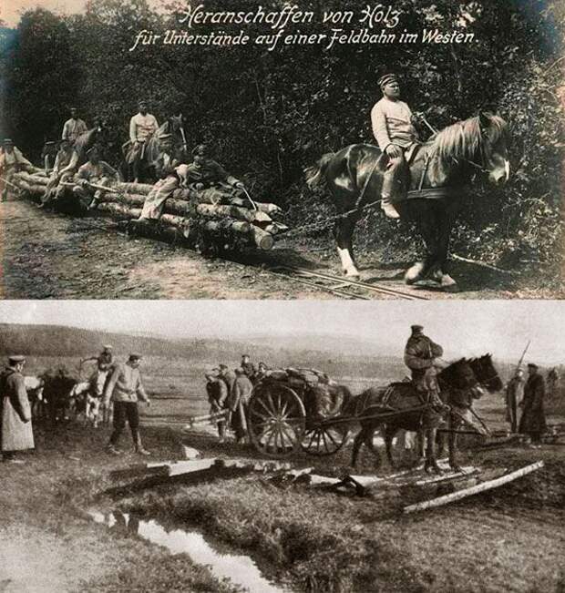 Галерея животных, втянутых людьми в мировую бойню Галерея животных, втянутых людьми в мировую бойню факты, мировая война, животные