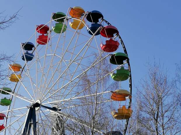 В Петербурге суд наказал отца за испорченный день в жизни ребенка в парке