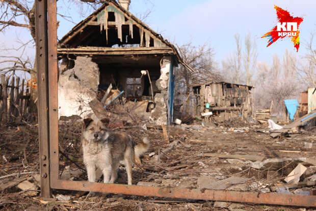 Александр КОЦ, Дмитрий СТЕШИН