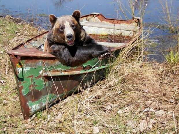 Только в России...