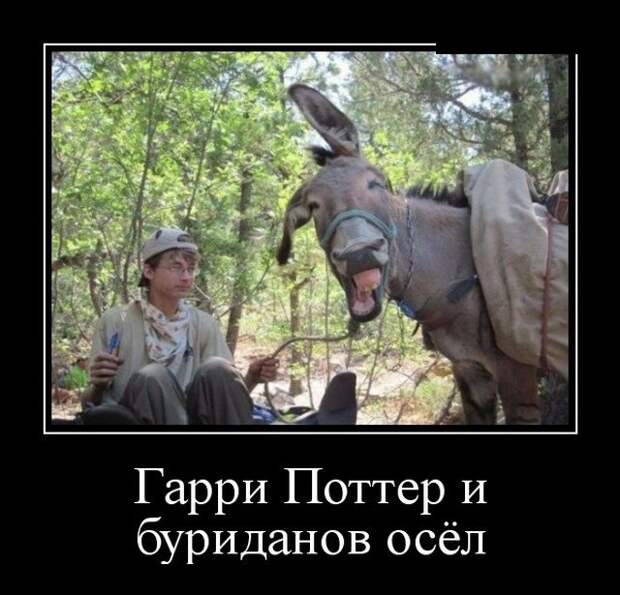 Демотиваторы (30 фото)