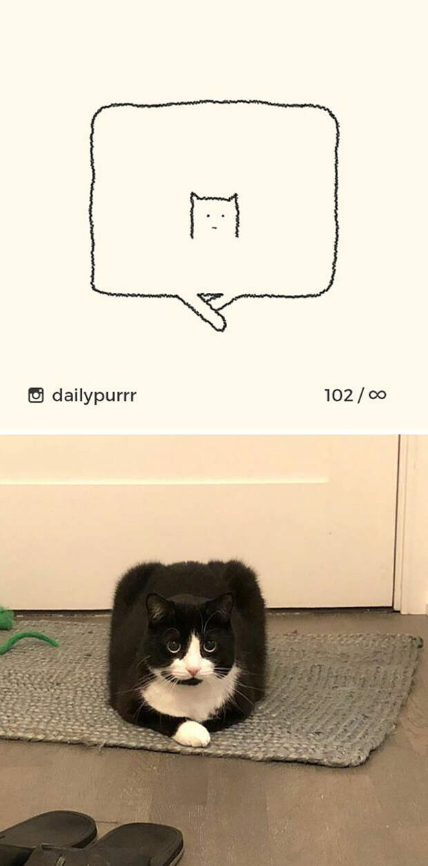 stupid-cat-drawings-dailypurrr-1-5af0179810d7e__605.jpg