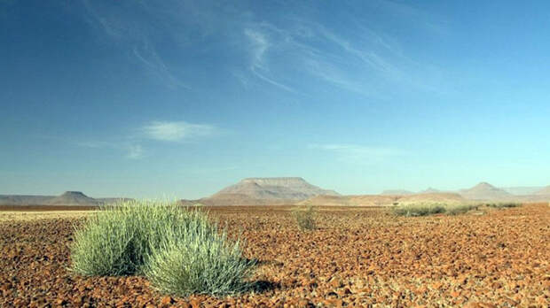 Намибия. Пустыня