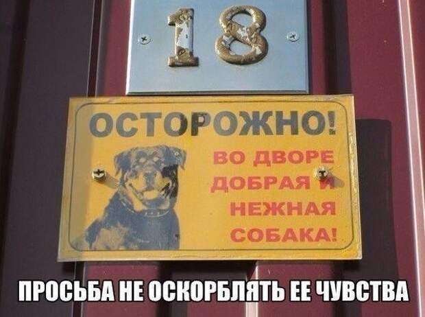 Весёлые картинки