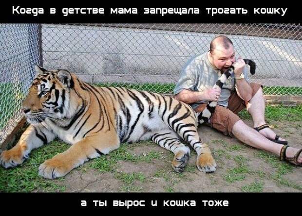 Весело до сумасшествия