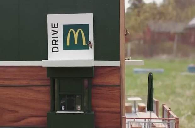 McDonald's создал самый маленький в мире ресторан, посетителями которого стали пчелы