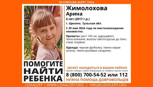 В Щекино пропала шестилетняя девочка