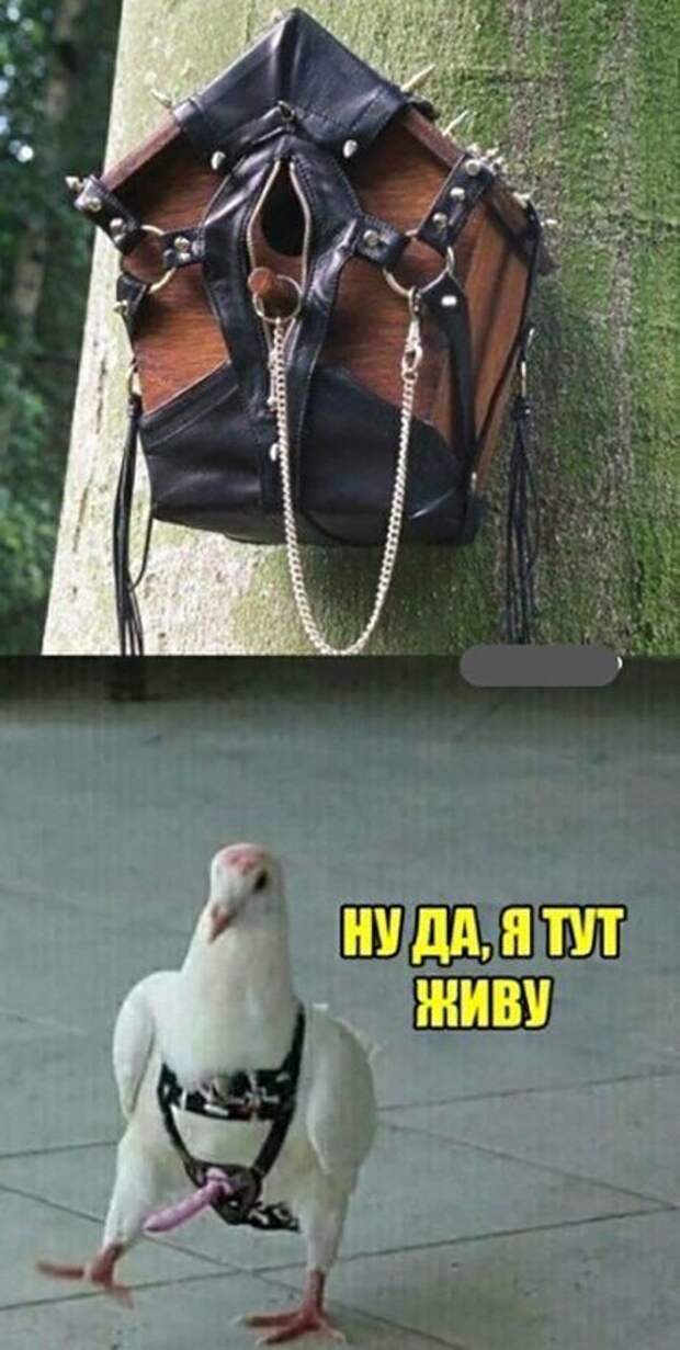1-39.jpg