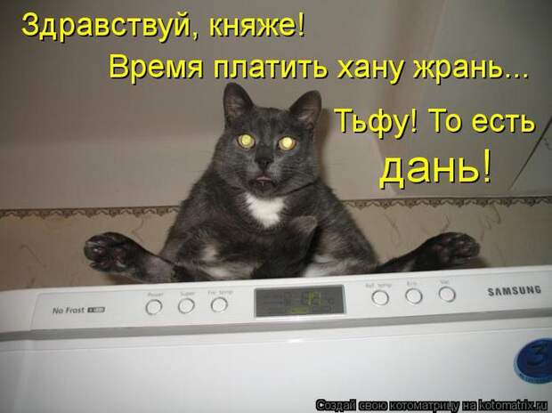 kotomatritsa_qH (700x524, 44Kb)