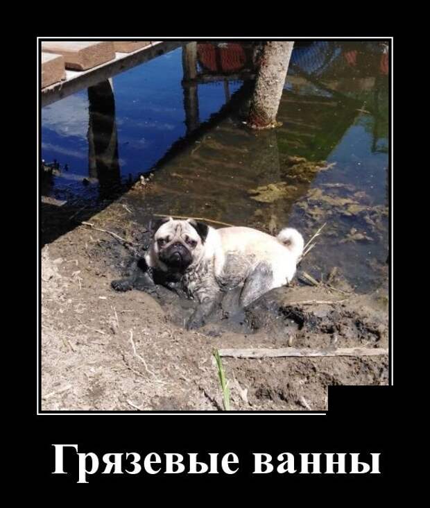 Демотиваторы (30 фото)