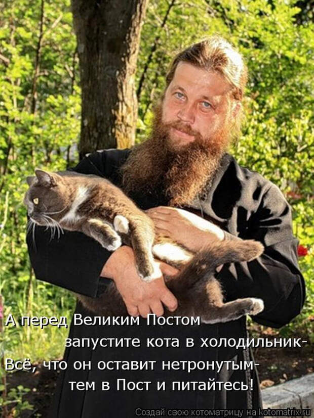 kotomatritsa_pl (524x700, 424Kb)
