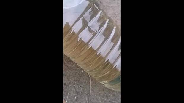 Video: video (14).mp4