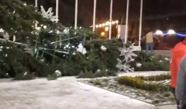 В Ростове рухнула главная городская елка