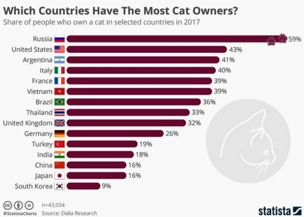 Любовь россиян к кошкам оказалась самой большой в мире животные, кошки, первоеместо, россия
