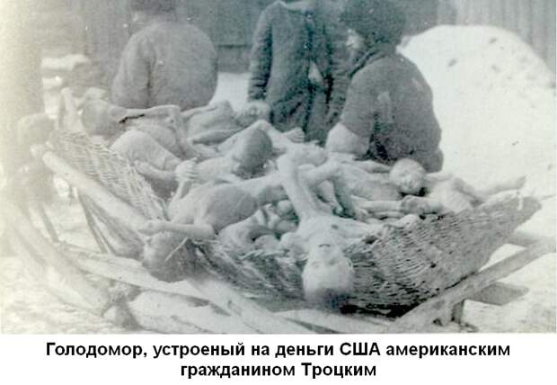 Что делали американцы в Сибире 1918 - 1920?