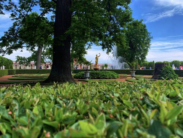 Верхний сад Петергофа откроется после четырехлетней реставрации 31 мая