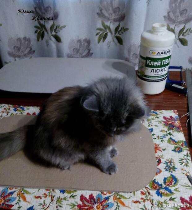дом для кошки