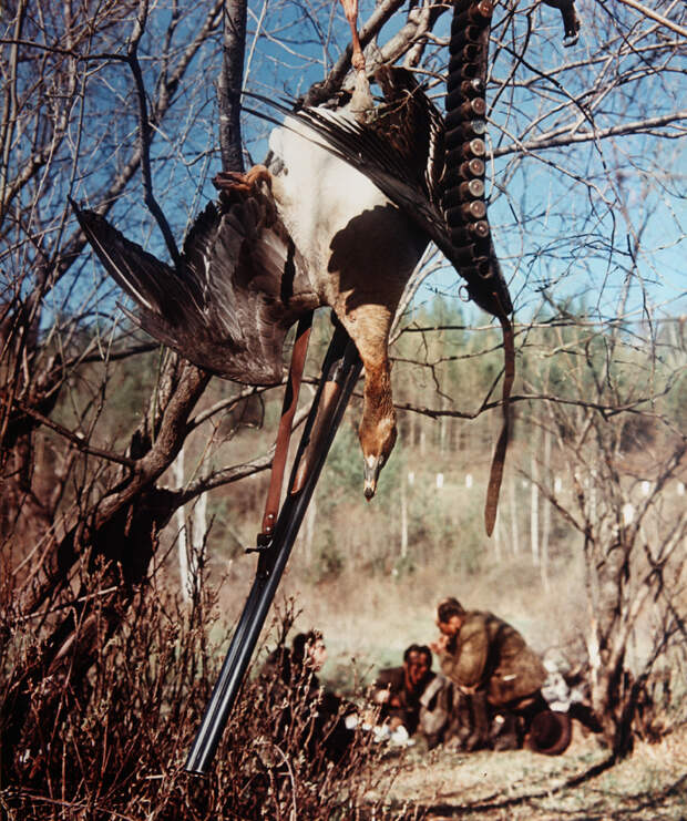 1952. Охотники на привале