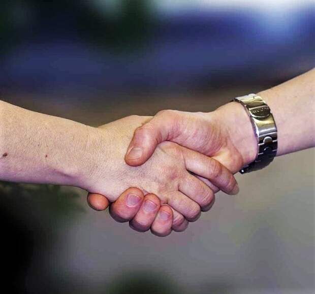 Рукопожатие. Фото:pixabay.com
