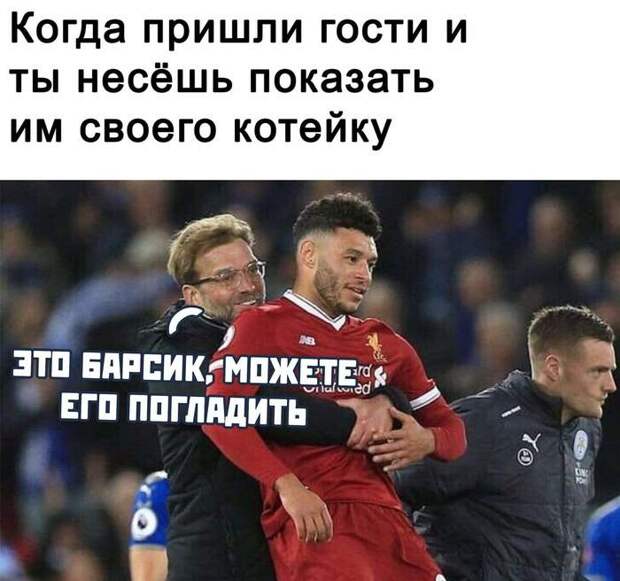 Жизненно)