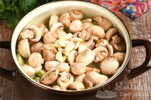    ,       ,    -  .      ,         (  ).-16