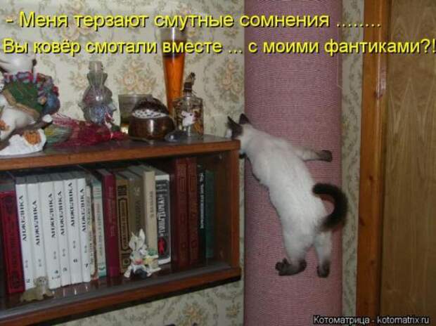 Котоматрицы (картинки с надписями)