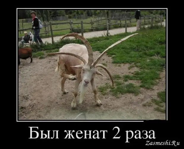 КМС по самбо - Юра, пересматривая Камасутру, заметил...