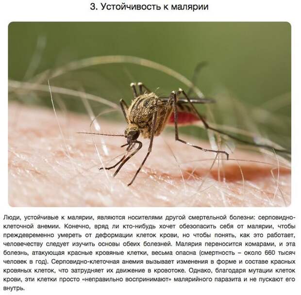 10 удивительных способностей, полученных в результате генетических мутаций 10 удивительных способностей, полученных в результате генетических мутаций
