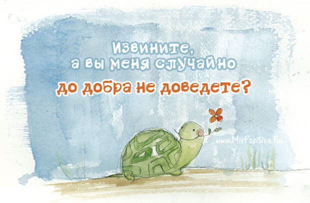 Извините, а вы меня случайно до добра не доведете?