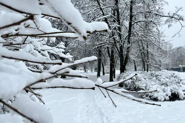 Жителей Казахстана «пугают» морозами в минус 380 градусов