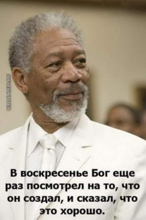 Бог создал