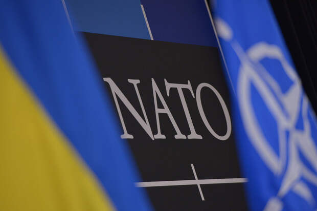 Браунбек: Украине нужно отказаться от части территорий для вступления в НАТО