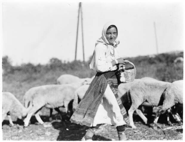 Крестьянка и овцы