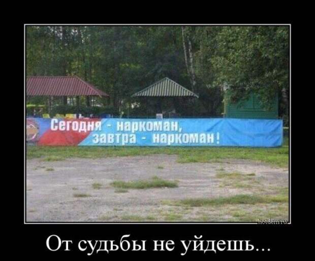 Порция демотиваторов (14 шт)
