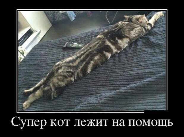 Демотиваторы (30 фото)