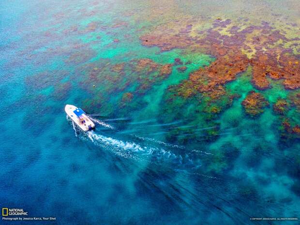 NatGeoMay25 NatGeoMay25 990x742 Обои для рабочего стола от National Geographic за май 2013