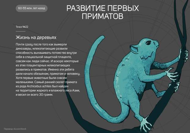 www.vsyako.net
