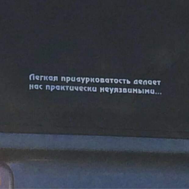 Чего только не пишут в России на авто