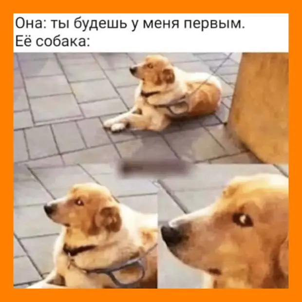 Интересная штука — домофон! Сегодня впустил в подъезд трех «коней в пальто», «деда Пихто» и «Агнию Барто»! одной, медведь, человек, специалист, неделю, Петровна , молчи, говорит, опытный, потом, загорается, ракеты, теперь, выходит, обезьяны, днями, целыми, сидят, запуск, посчитали