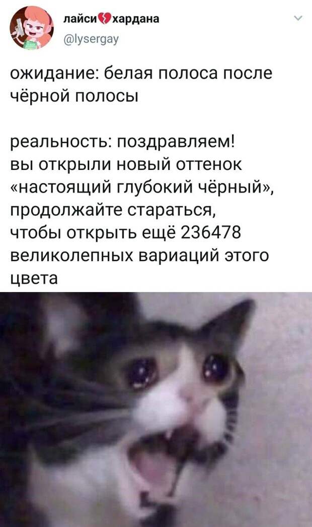 Белая полоса в жизни