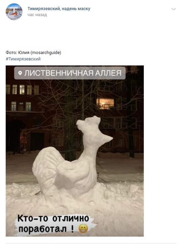 Фото дня: на Лиственничной аллее появился «снежный петух»