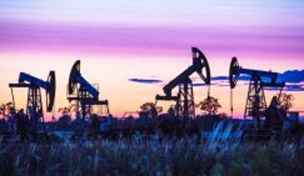 Власть оценила нефтянку России: На наш век хватит