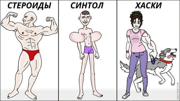 Подборка комиксов и карикатур
