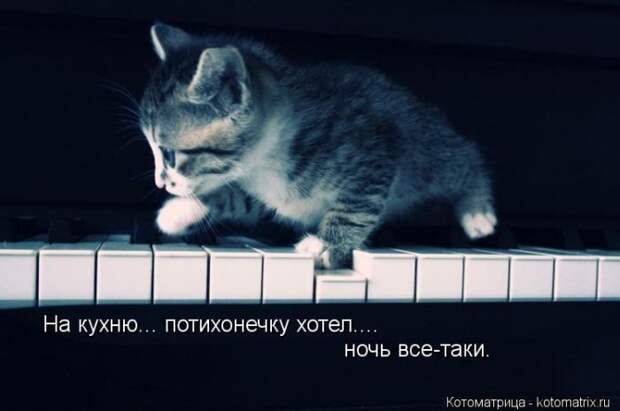 Лучшие котоматрицы недели Лучшие котоматрицы недели