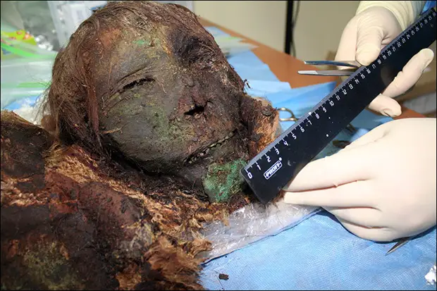 На севере Сибири обнаружили мумию «полярной принцессы», пролежавшую там 900 лет археологи, история, мумия, находка, принцесса, раскопки, удивительно