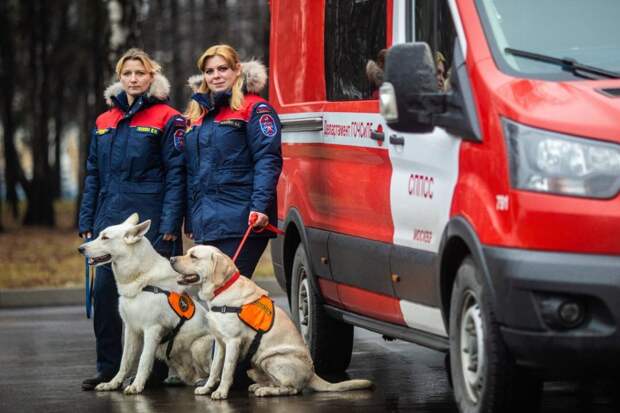 Московские пожарные создают новые отряды/ фото: Управление по САО Департамента ГОЧСиПБ