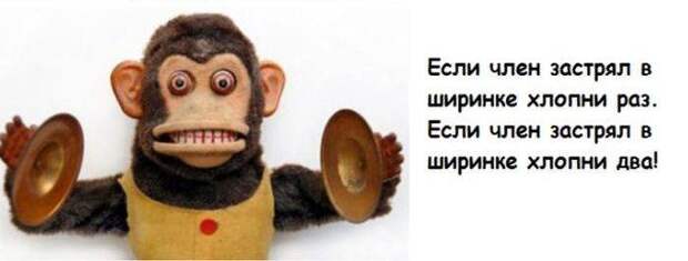 Интересные факты обо всем на свете Интересные факты обо всем на свете